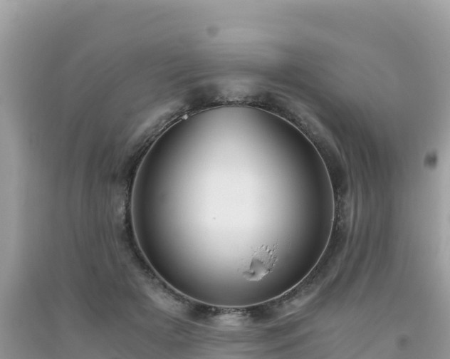 X0000093770505200710231315