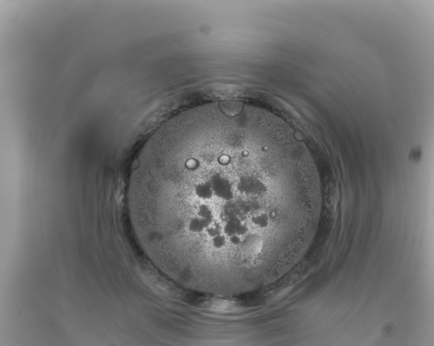 X0000093770507200710231315