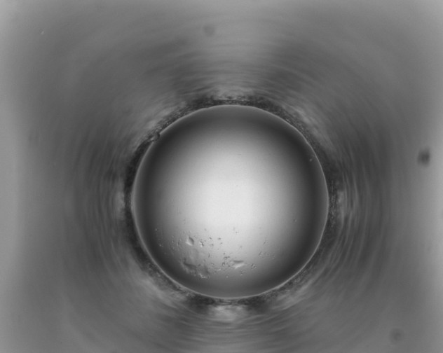 X0000093770508200710231315