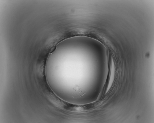 X0000093770509200710231315