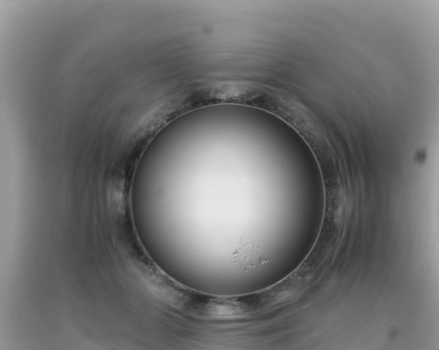 X0000093770510200710231315