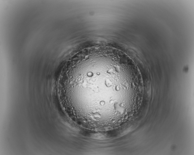 X0000093770511200710231315