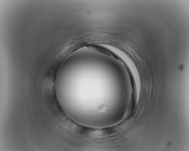 X0000093770513200710231315