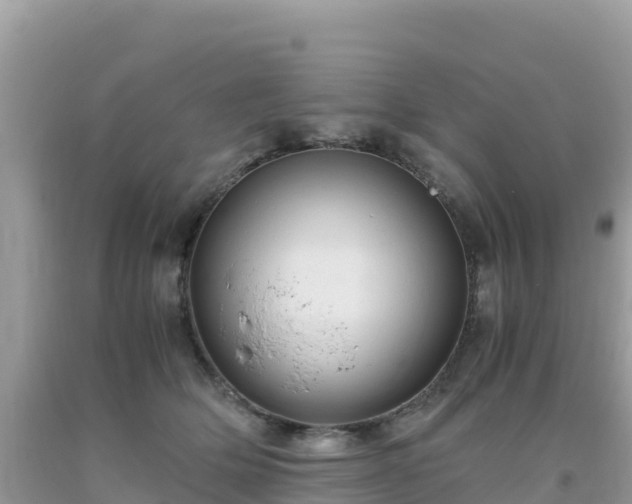 X0000093770514200710231315