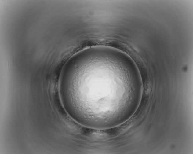 X0000093770515200710231315