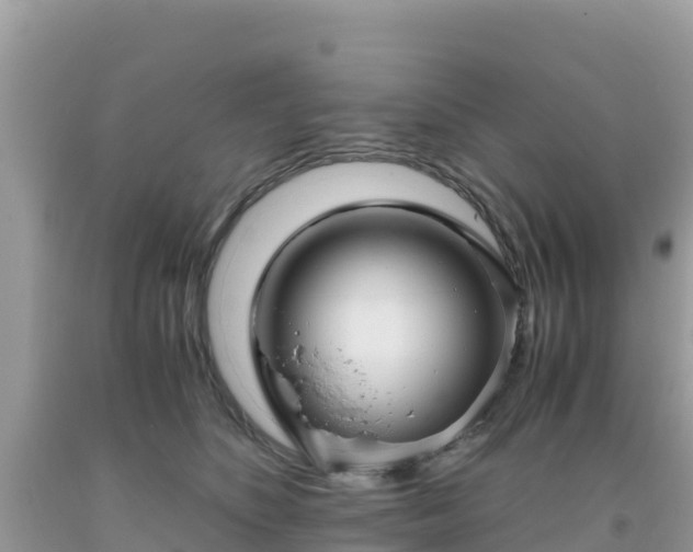 X0000093770516200710231315