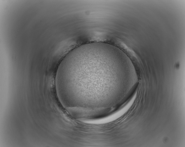 X0000093770517200710231315