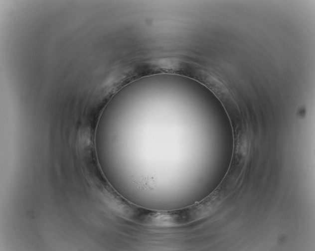 X0000093770518200710231315