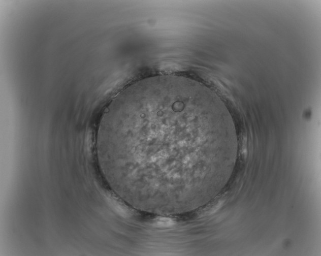 X0000093770519200710231315