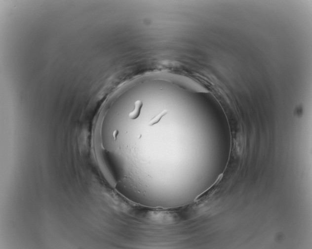 X0000093770520200710231315