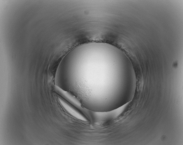 X0000093770521200710231315