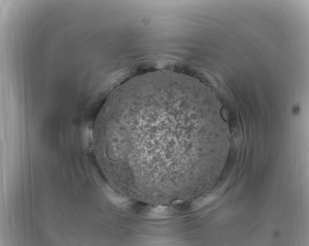 X0000093770527200710231315