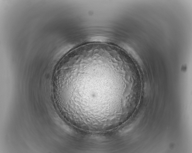 X0000093770529200710231314