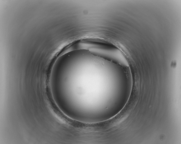 X0000093770530200710231314