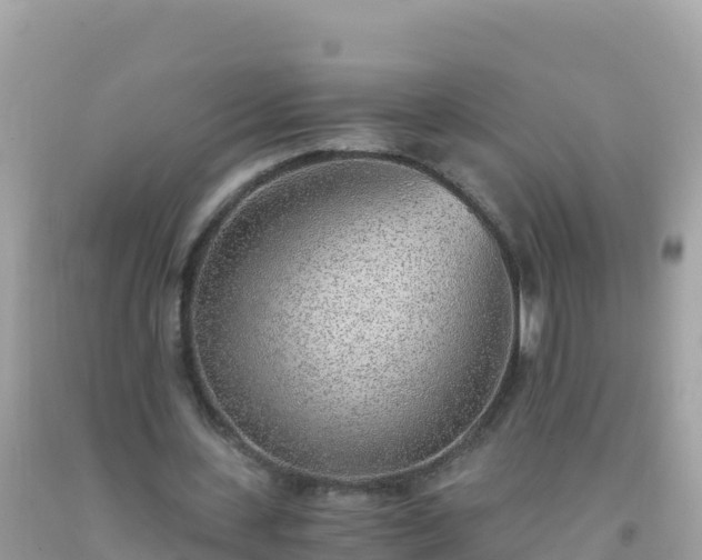 X0000093770531200710231314