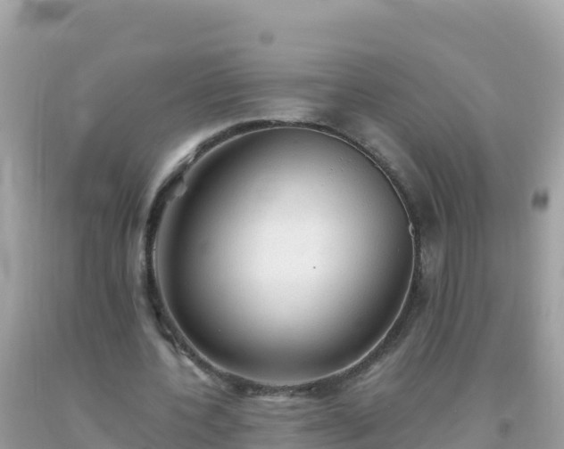 X0000093770532200710231314