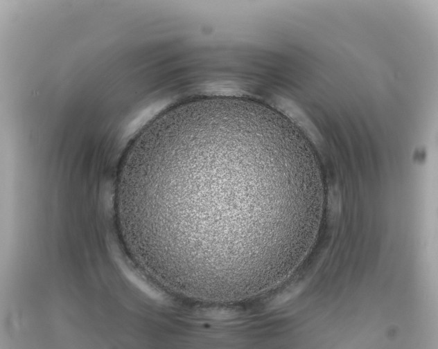 X0000093770533200710231314