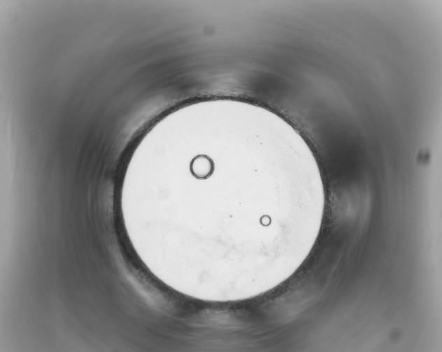 X0000093770534200710231314