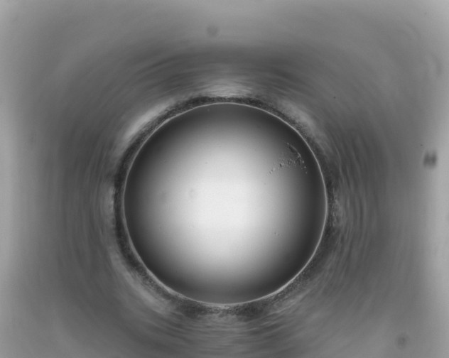 X0000093770535200710231314