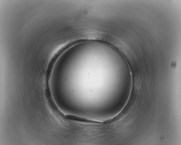 X0000093770536200710231314