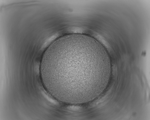 X0000093770537200710231314