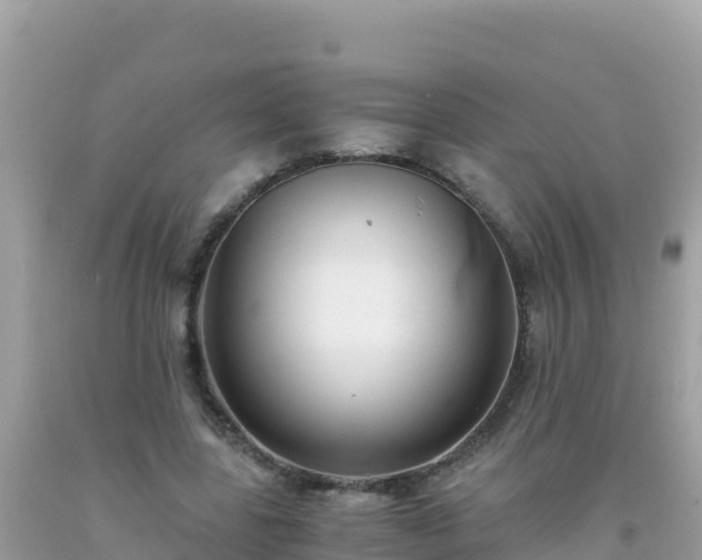 X0000093770539200710231314