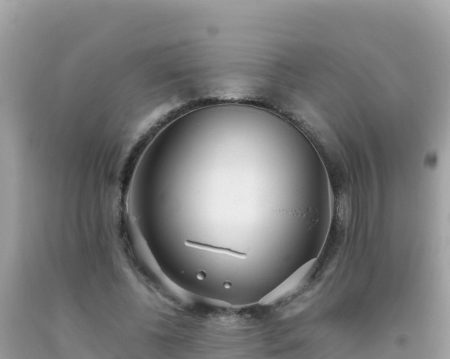 X0000093770540200710231314