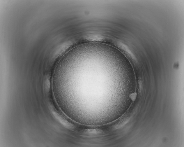 X0000093770541200710231314