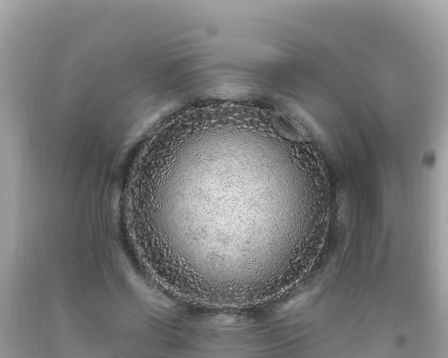 X0000093770542200710231314