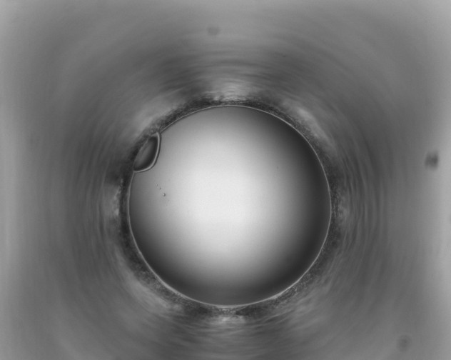 X0000093770543200710231314