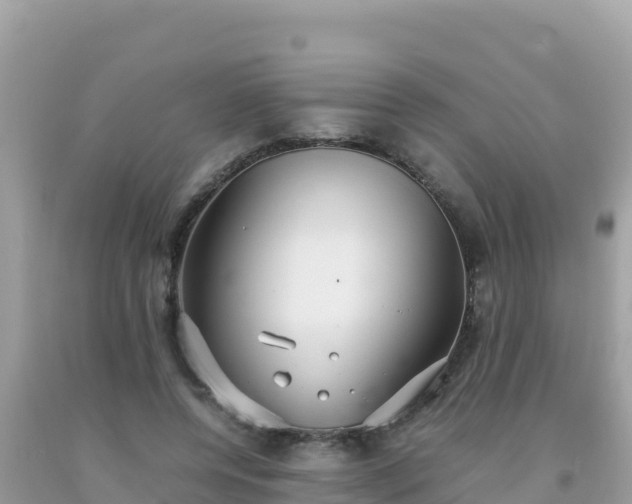 X0000093770544200710231314