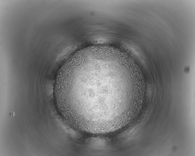 X0000093770545200710231314