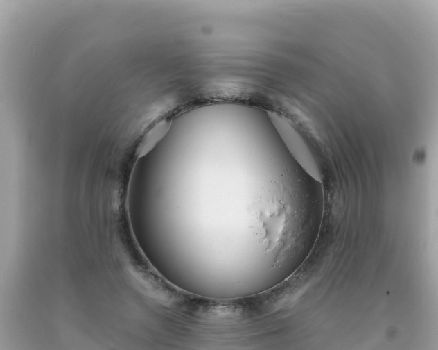 X0000093770546200710231314