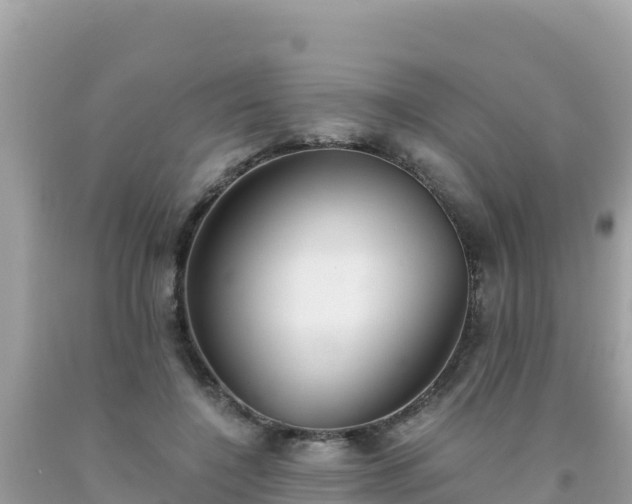 X0000093770548200710231314