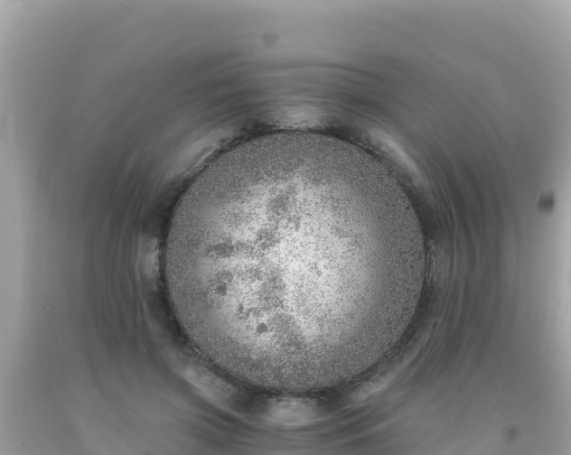 X0000093770549200710231314