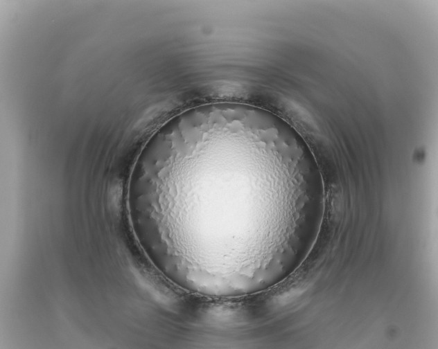 X0000093770550200710231314