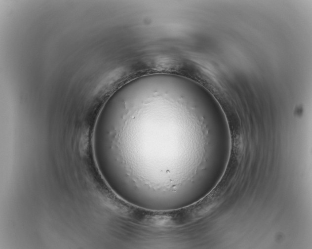 X0000093770554200710231314