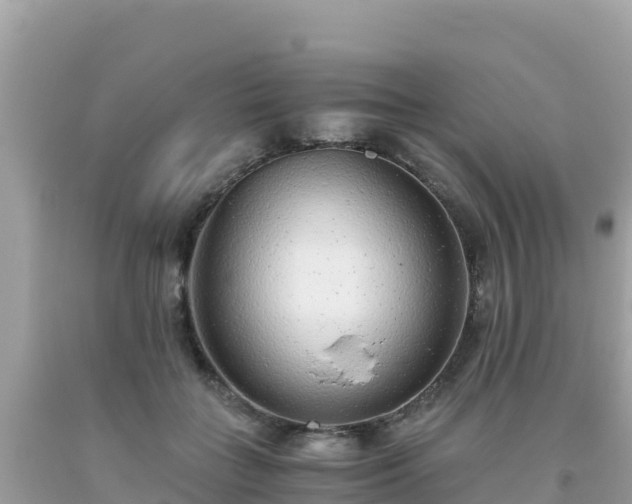 X0000093770555200710231314