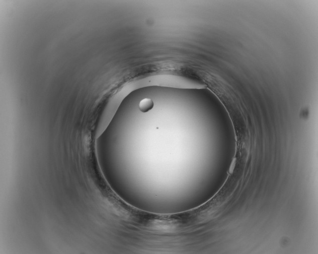 X0000093770556200710231314