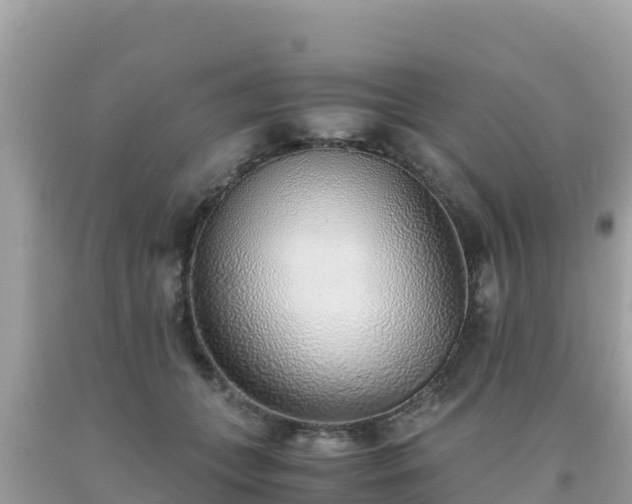 X0000093770559200710231314