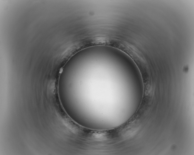 X0000093770560200710231314