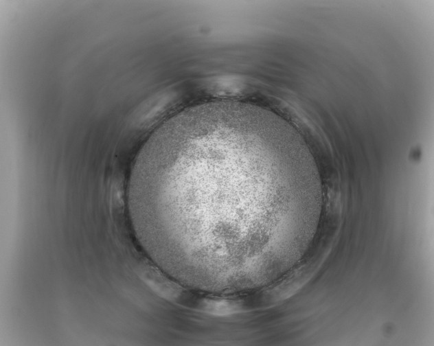 X0000093770561200710231314