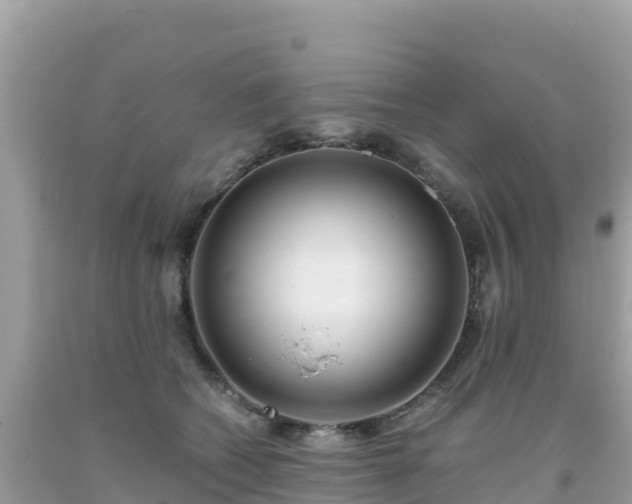 X0000093770562200710231314