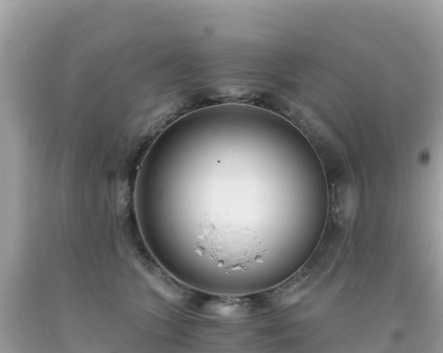 X0000093770563200710231314