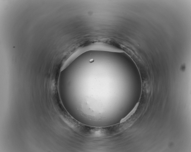 X0000093770564200710231314