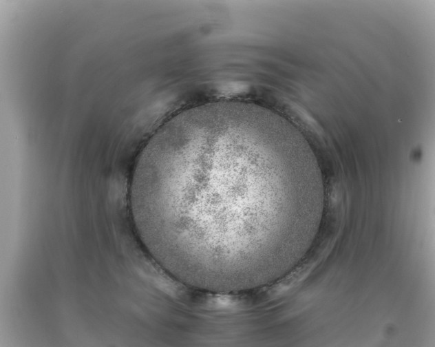 X0000093770565200710231314