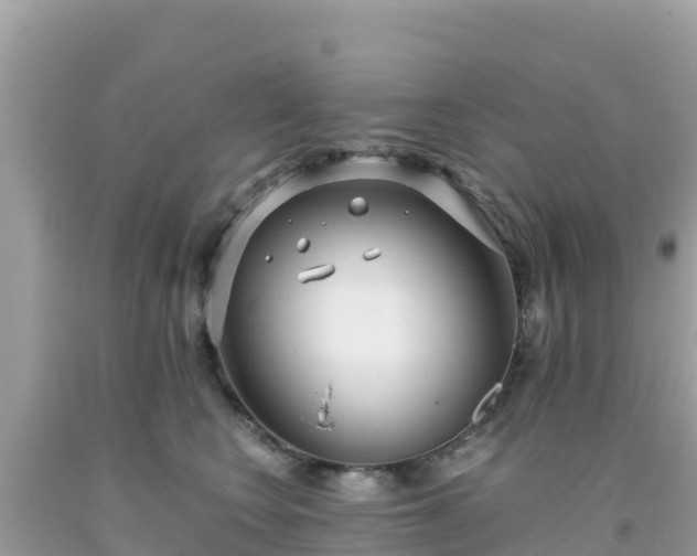 X0000093770566200710231314