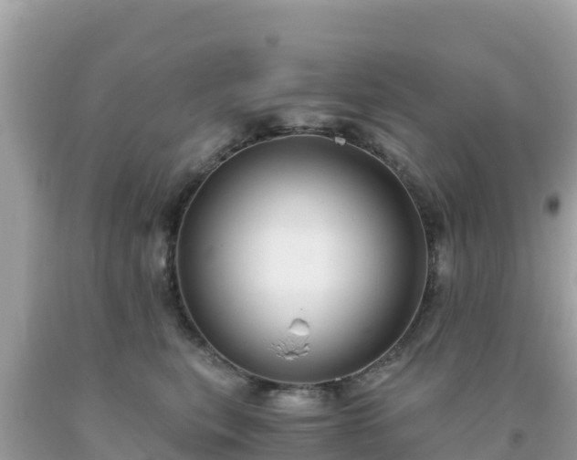 X0000093770567200710231314