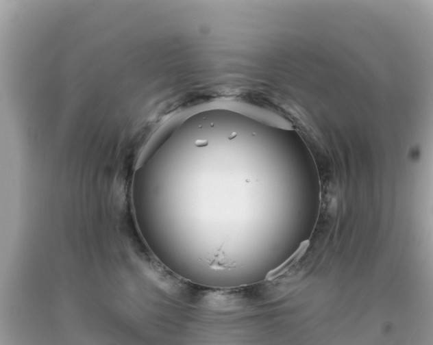 X0000093770568200710231314