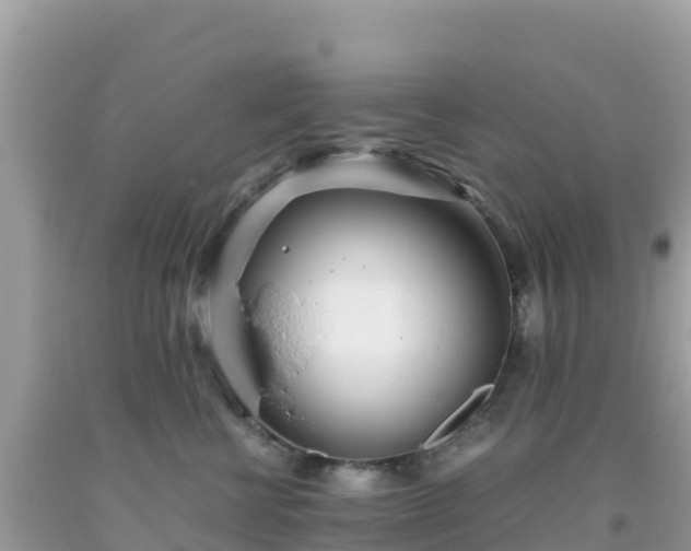 X0000093770570200710231314